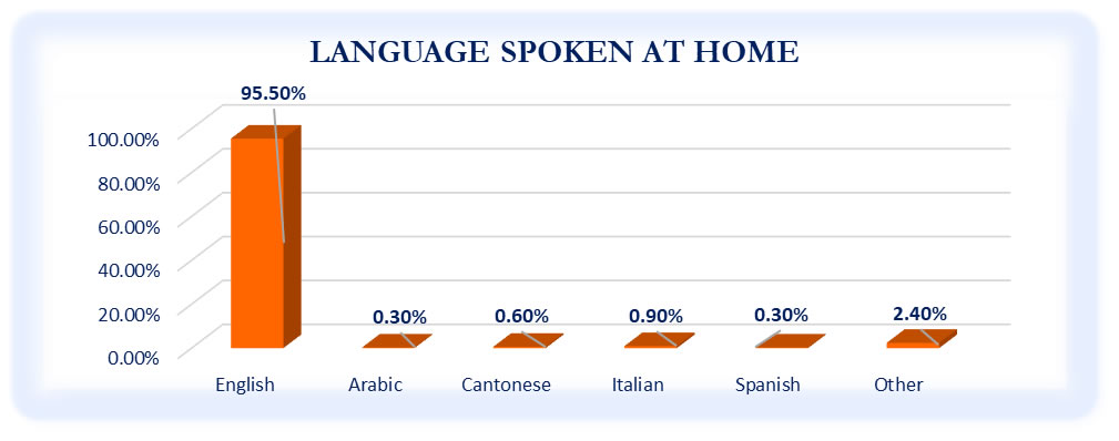 Language Spoken at Home of Respondents - October to December 2020 Survey
